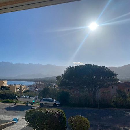 Coeur De Calvi Lejlighed Calvi  Eksteriør billede