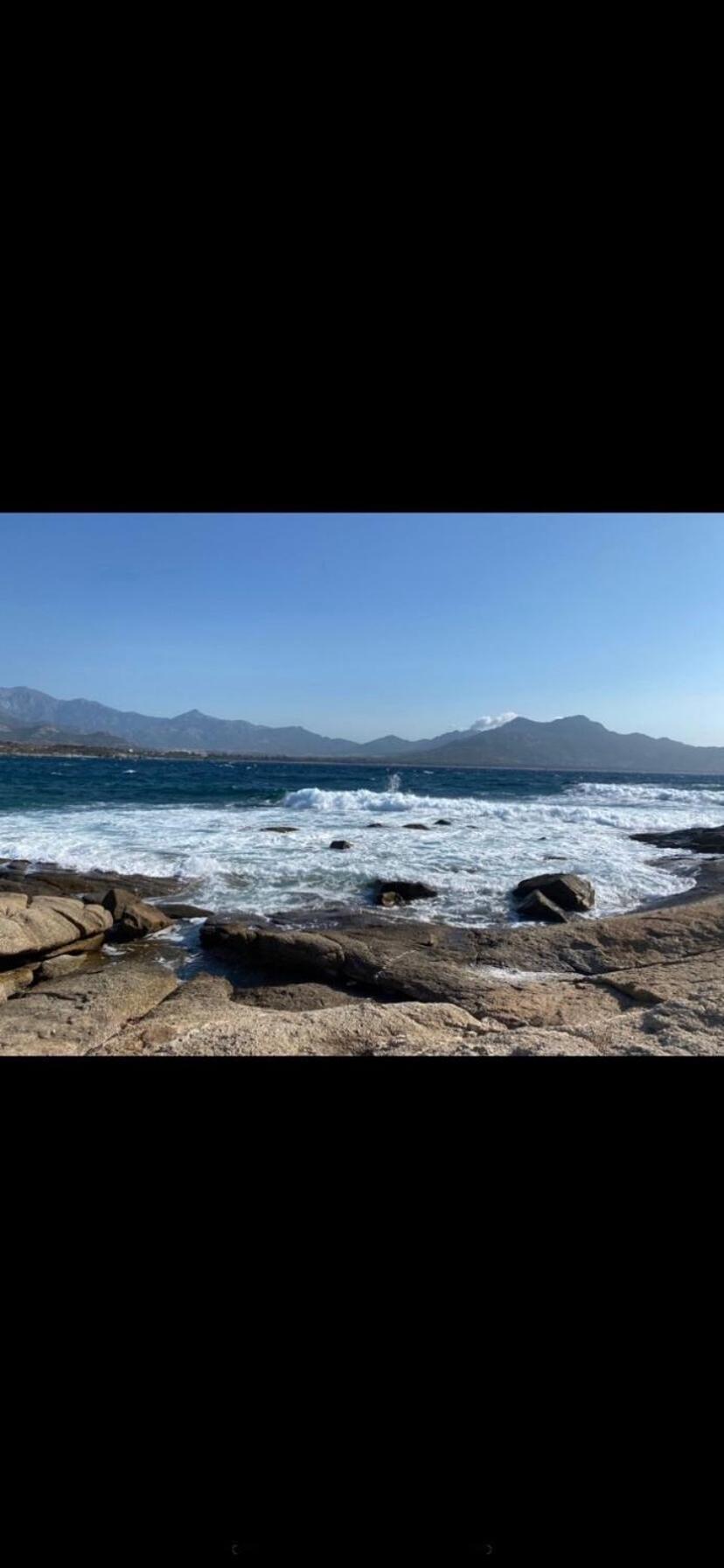Coeur De Calvi Lejlighed Calvi  Eksteriør billede