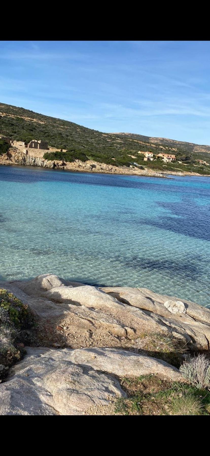 Coeur De Calvi Lejlighed Calvi  Eksteriør billede