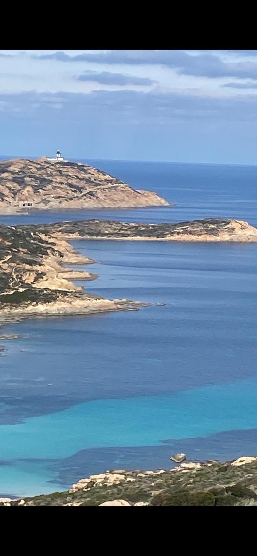 Coeur De Calvi Lejlighed Calvi  Eksteriør billede