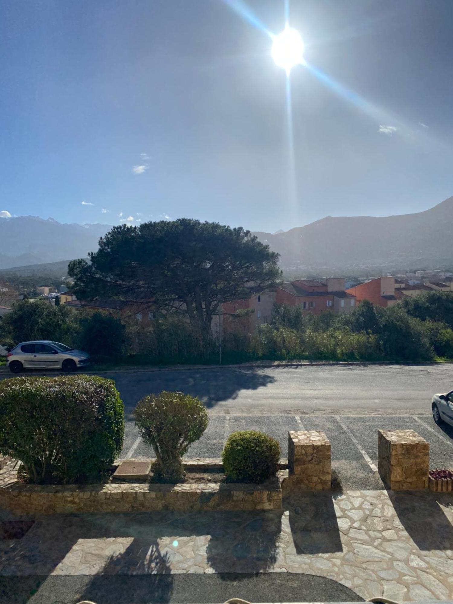 Coeur De Calvi Lejlighed Calvi  Eksteriør billede