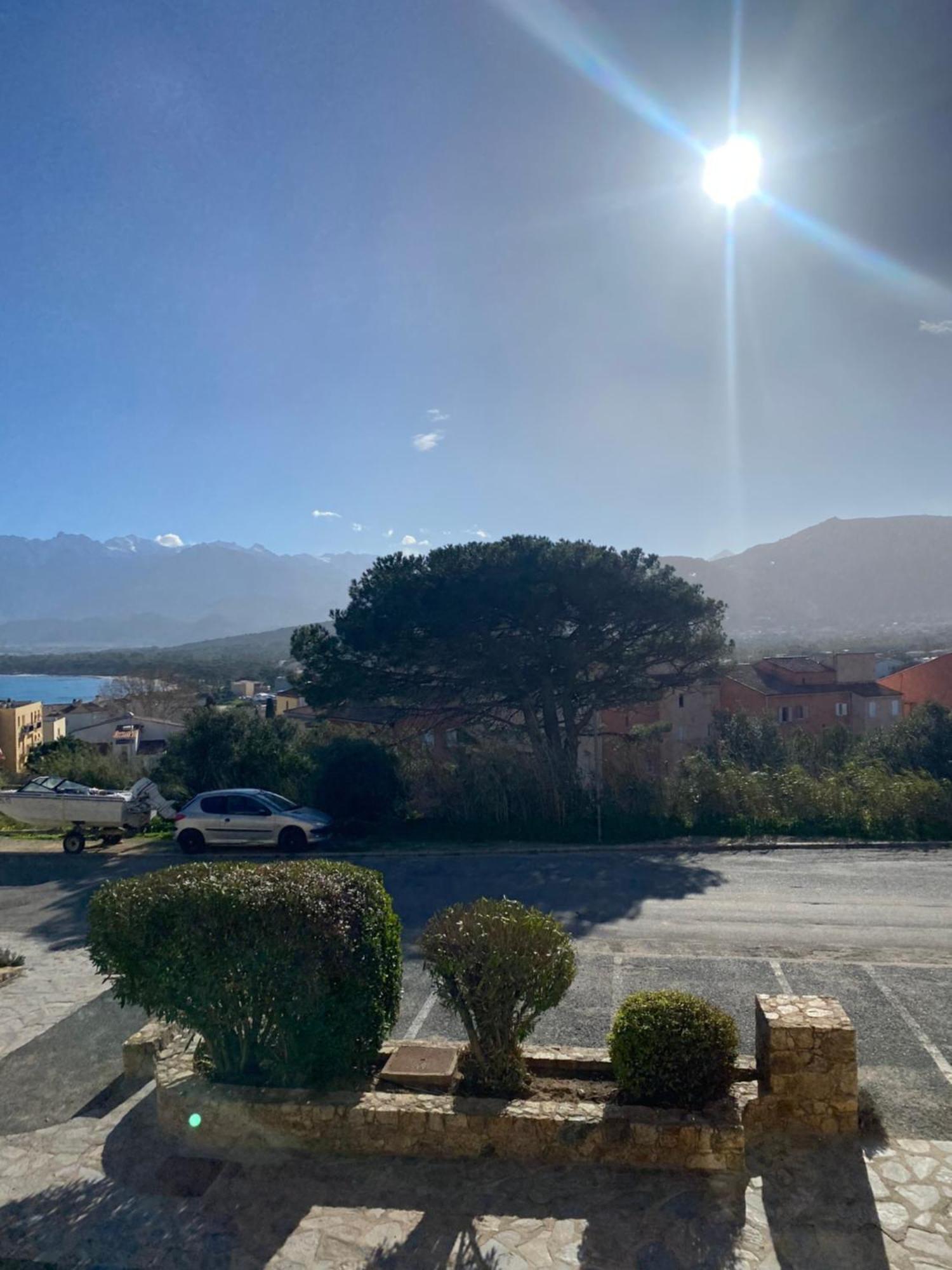 Coeur De Calvi Lejlighed Calvi  Eksteriør billede