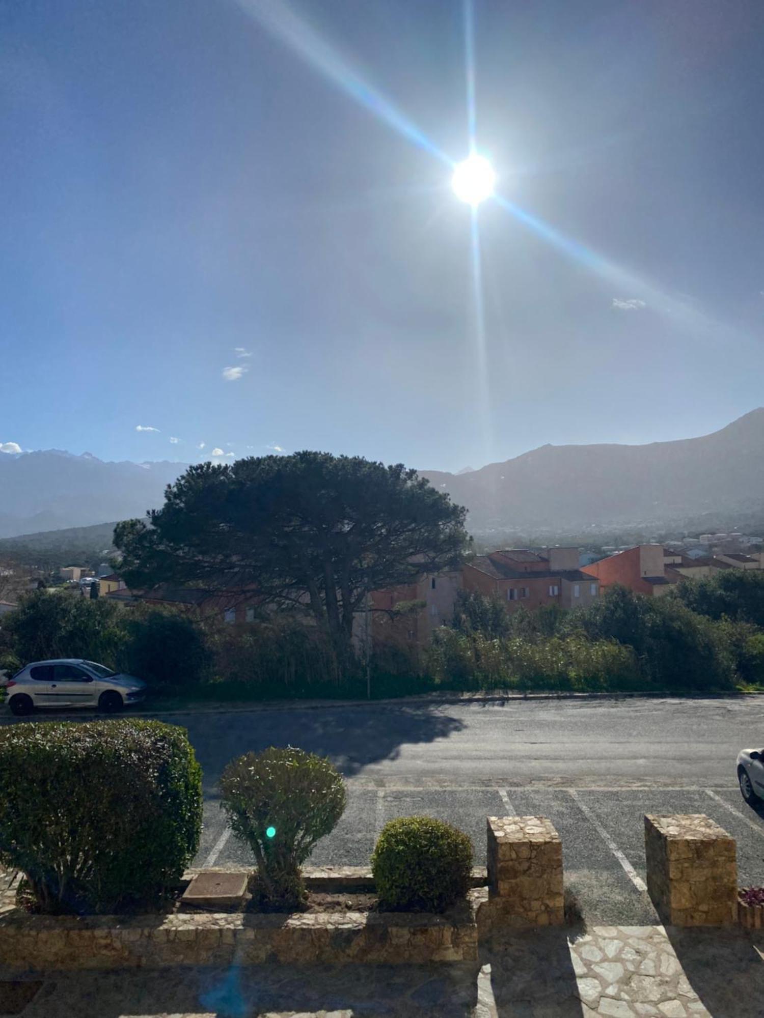 Coeur De Calvi Lejlighed Calvi  Eksteriør billede